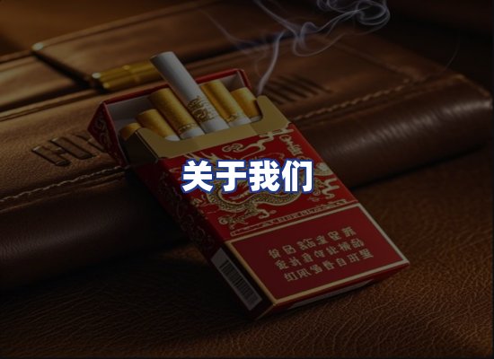 专业团队